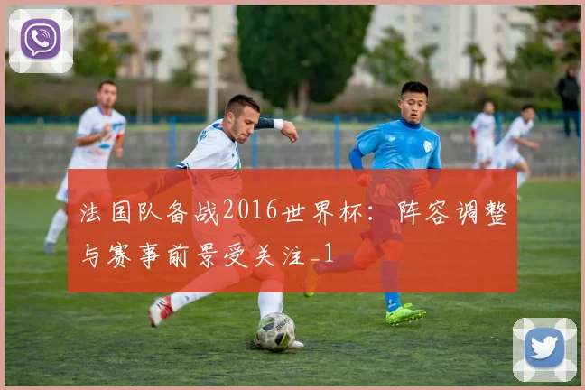 法国队备战2016世界杯：阵容调整与赛事前景受关注_1
