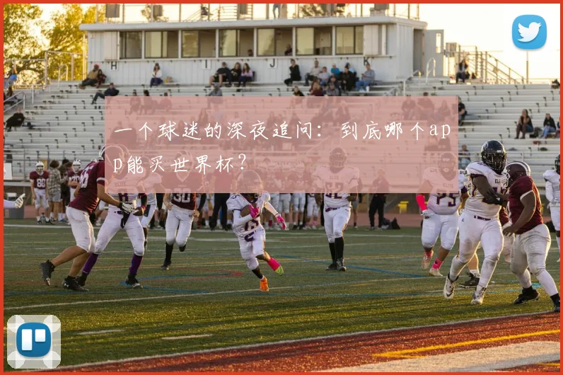 一个球迷的深夜追问:到底哪个app能买世界杯?