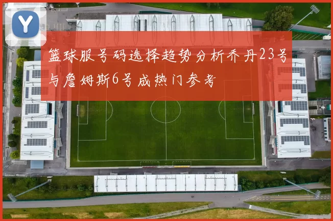 篮球服号码选择趋势分析乔丹23号与詹姆斯6号成热门参考
