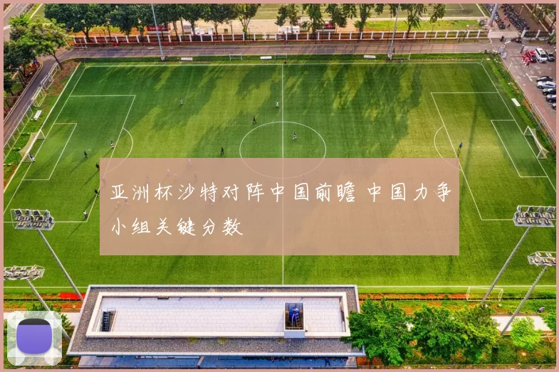 亚洲杯沙特对阵中国前瞻 中国力争小组关键分数