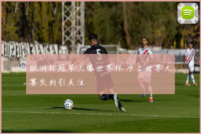 欧洲杯冠军无缘世界杯 冲击世界大赛失利引关注