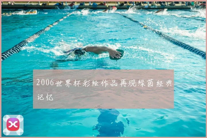 2006世界杯彩绘作品再现绿茵经典记忆