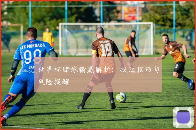 世界杯赌球输赢解析：投注技巧与风险提醒
