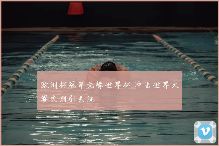 欧洲杯冠军无缘世界杯 冲击世界大赛失利引关注