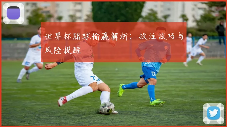 世界杯赌球输赢解析：投注技巧与风险提醒